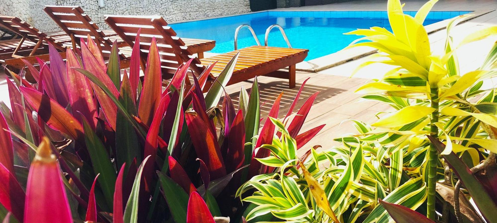 Tropicazza - Praia, Camareira, Piscina E Rio Vermelho A Pe *